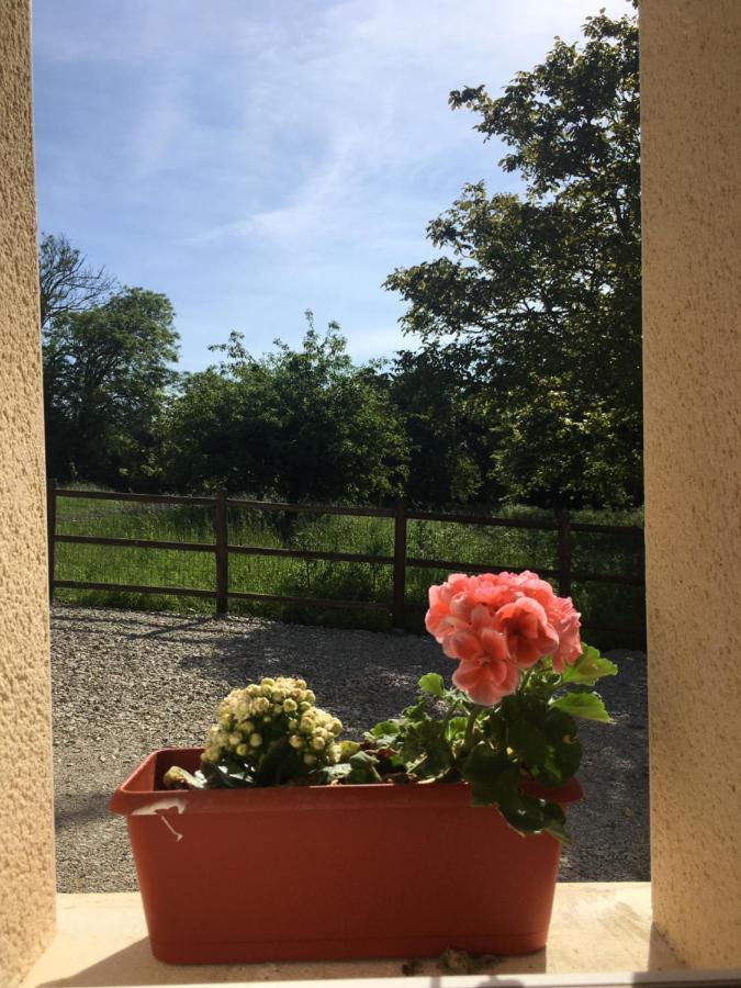 Gîte de la Grenouille La Cambe Extérieur photo